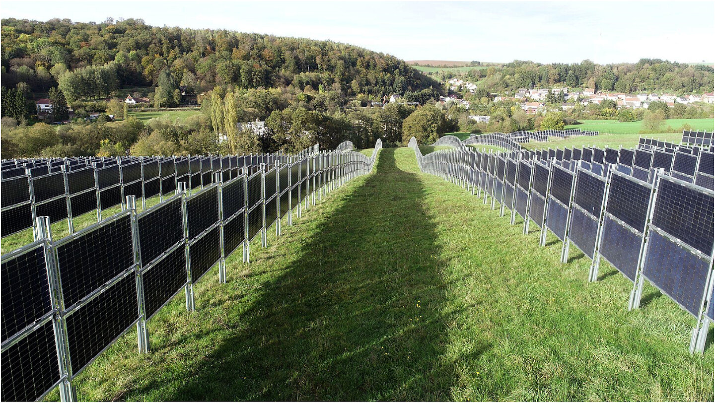 Vertikal installierte Solarmodule Vertikal installierte, bifaziale Solarmodule auf einer landwirtschaftlichen Nutzfläche